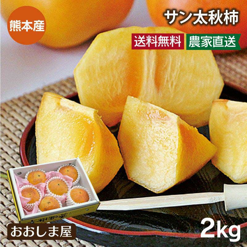 ブランド柿 熊本産 サン太秋柿 2kg（6-8玉） 送料無料 無袋 露地栽培