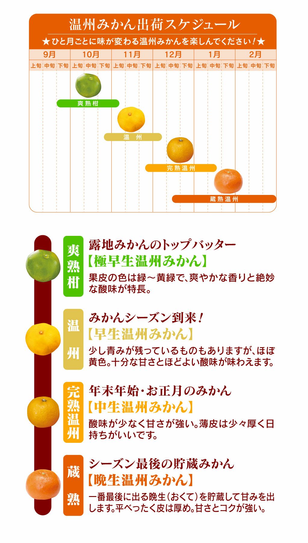 完熟温州みかん 2kg 送料別 ＜10月上旬頃から順次出荷＞ 国産 ミカン