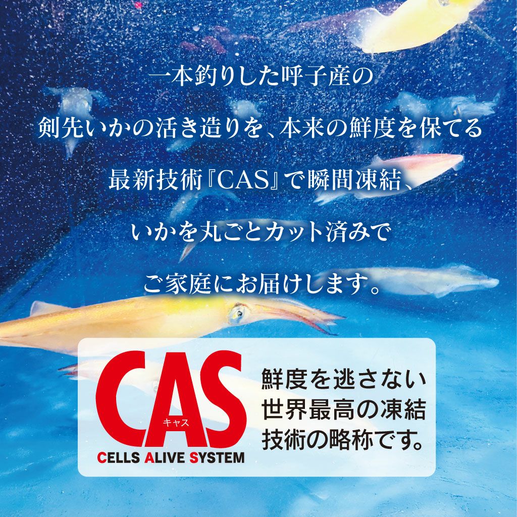 佐賀県呼子産 剣先いか活き造り 150g×1パック CAS瞬間冷凍 ＜送料別