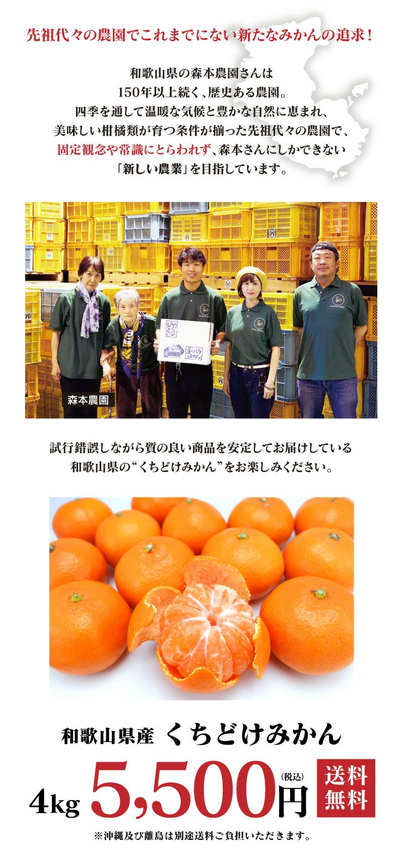 和歌山県産 くちどけみかん 4kg 送料無料 ＜11月上旬から順次お届け