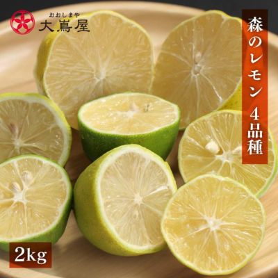 国産レモン | おおしま屋(大嶌屋) 国産レモン | おおしま屋(大嶌屋)