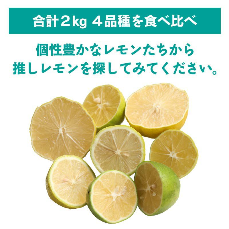 森のレモン 4品種 食べ比べ 合計2kg 送料無料 璃の香レモン マイヤー