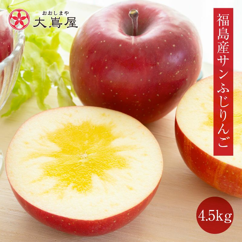 福島産 蜜入り 完熟サンふじりんご 4.5kg 約12～18玉 大小混合