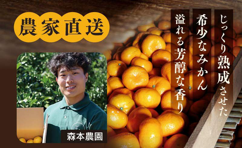 温州みかん 下津 蔵出しみかん 4kg 送料無料 ＜2月上旬から順次お届け