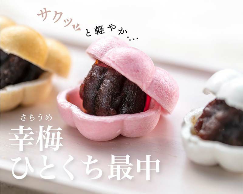 幸梅ひとくち最中 12個入り 送料無料 あんこもなか 和菓子 一口 メール