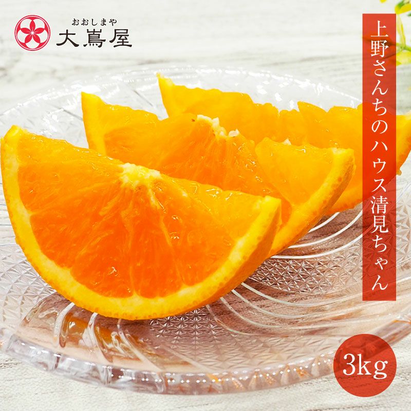 佐賀県産 上野さんちの清見ちゃん 3kg 送料無料（約9玉-15玉入り）大小