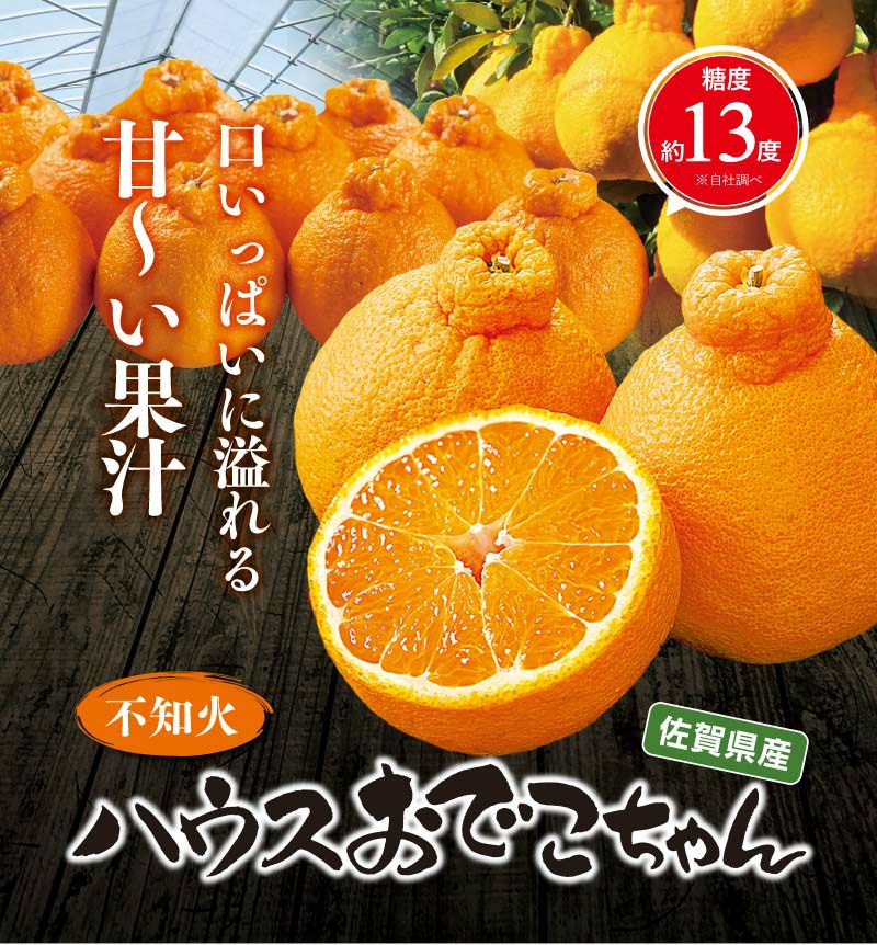 上野さんちのハウスおでこちゃん 3kg 送料無料（約12玉-15玉入り）L-2L
