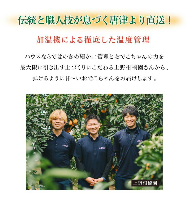 上野さんちのハウスおでこちゃん 3kg 送料無料（約12玉-15玉入り）L-2L