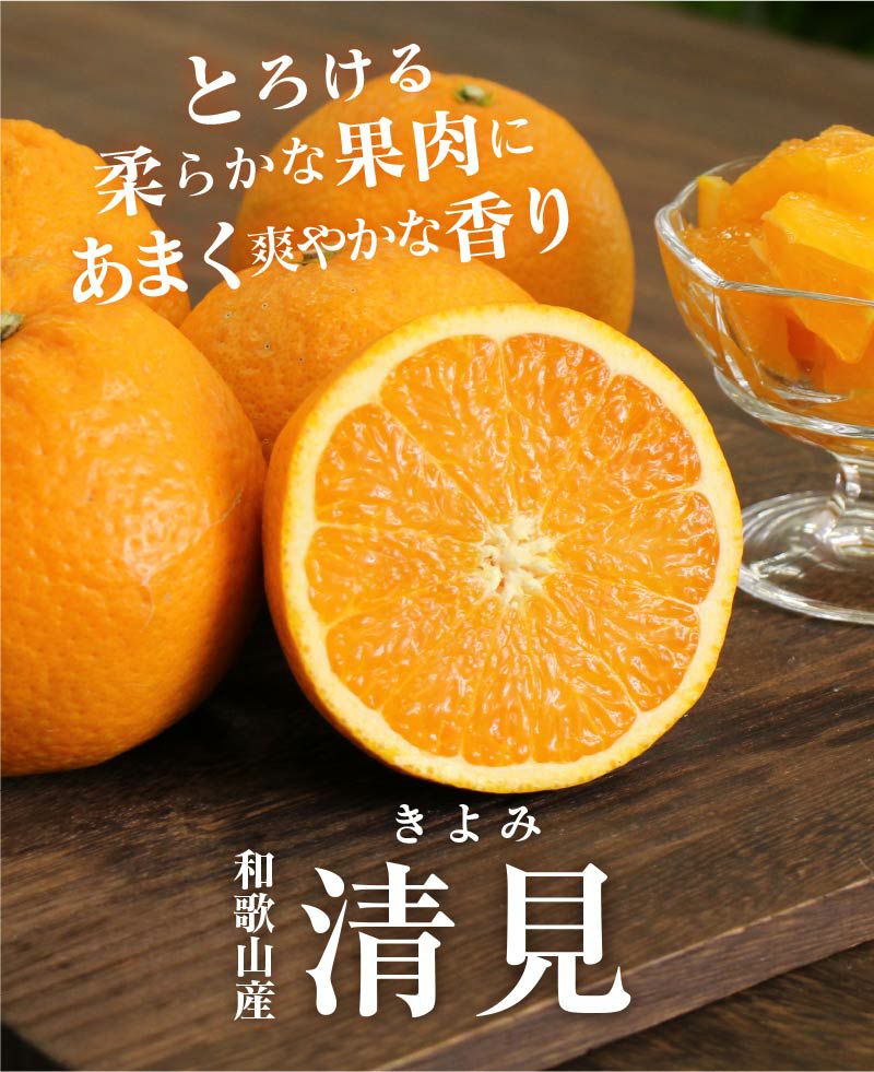 M-triple.i 様　大分県まで　送料350センチ 頼める便 先行予約】令和7年12月発送開始/貴重なプレミアムみかん「大分セレブ