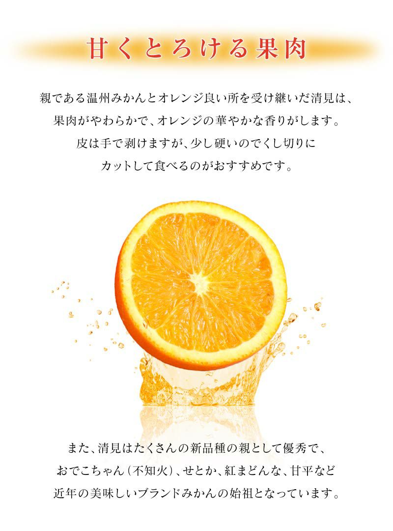 和歌山産 清見 2kg 送料別 クール代別（約6玉-11玉入り）大小サイズ