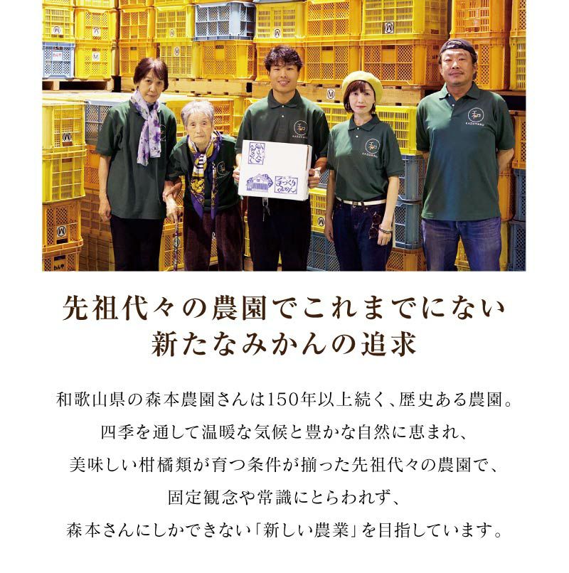 和歌山産 清見 2kg 送料別 クール代別（約6玉-11玉入り）大小サイズ