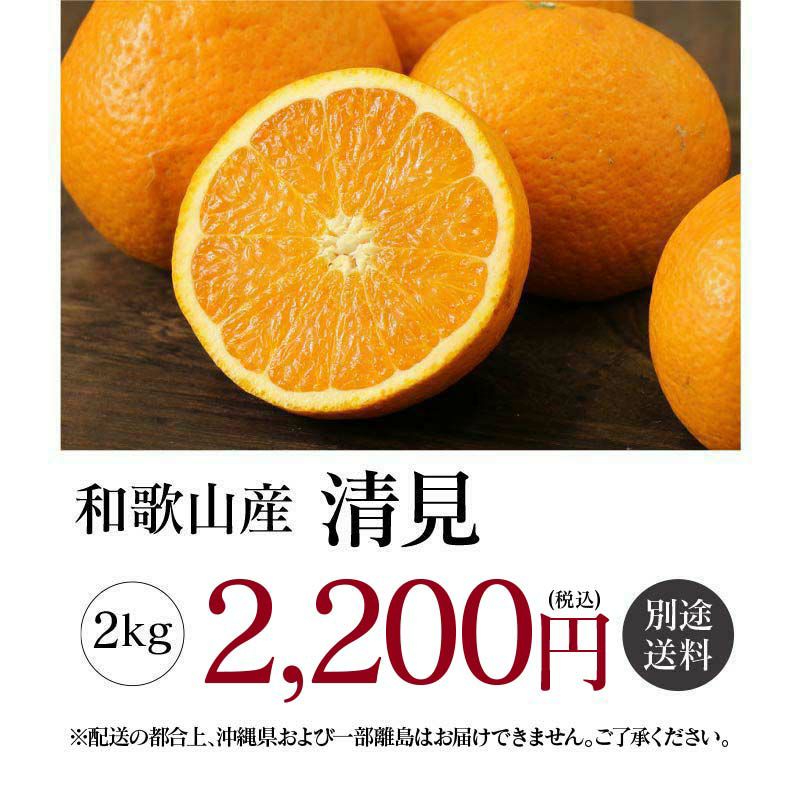 和歌山産 清見 2kg 送料別 クール代別（約6玉-11玉入り）大小サイズ