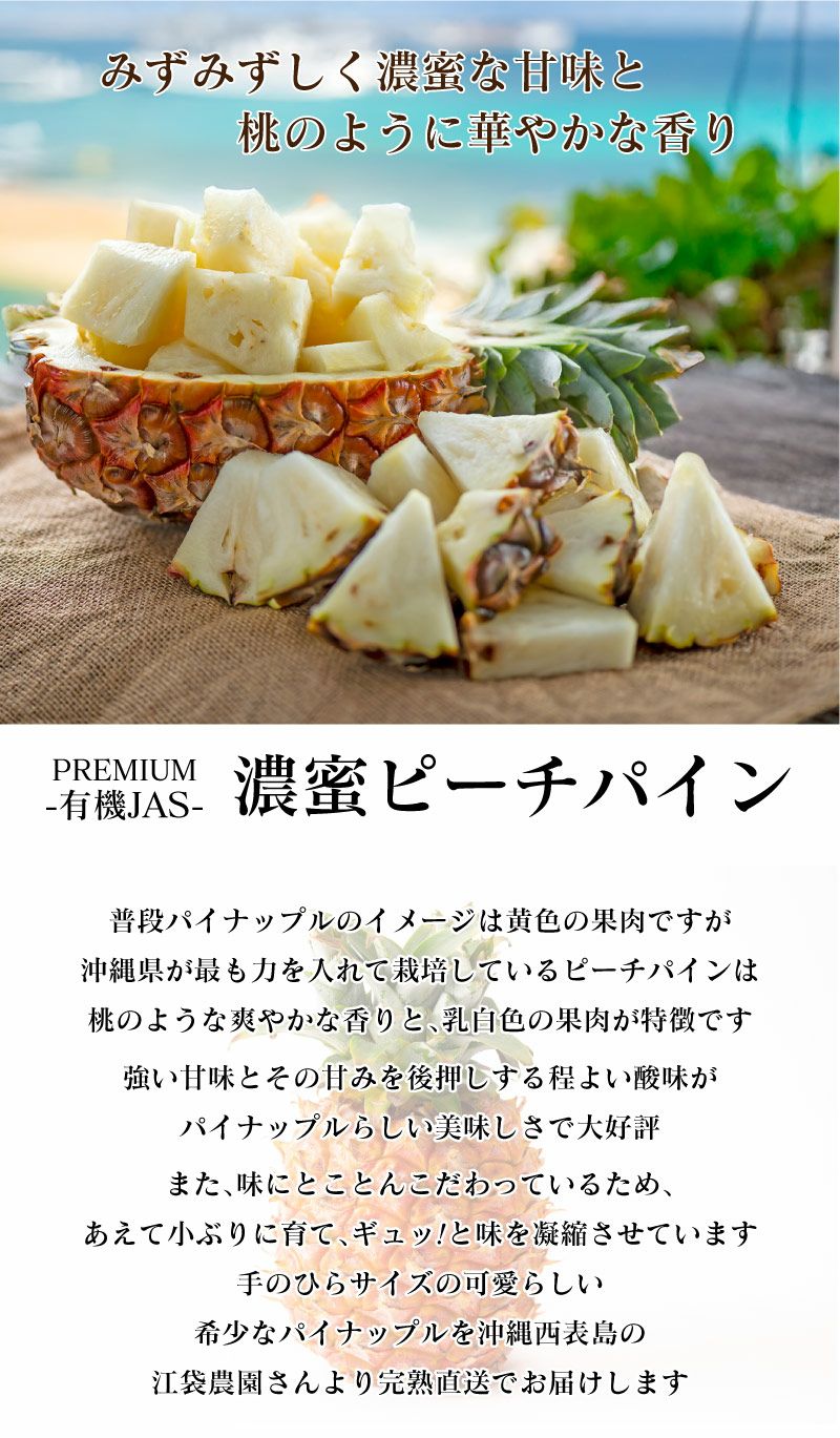 沖縄 西表島産 有機オーガニック認証 JAS プレミアム ピーチパイン 2.5