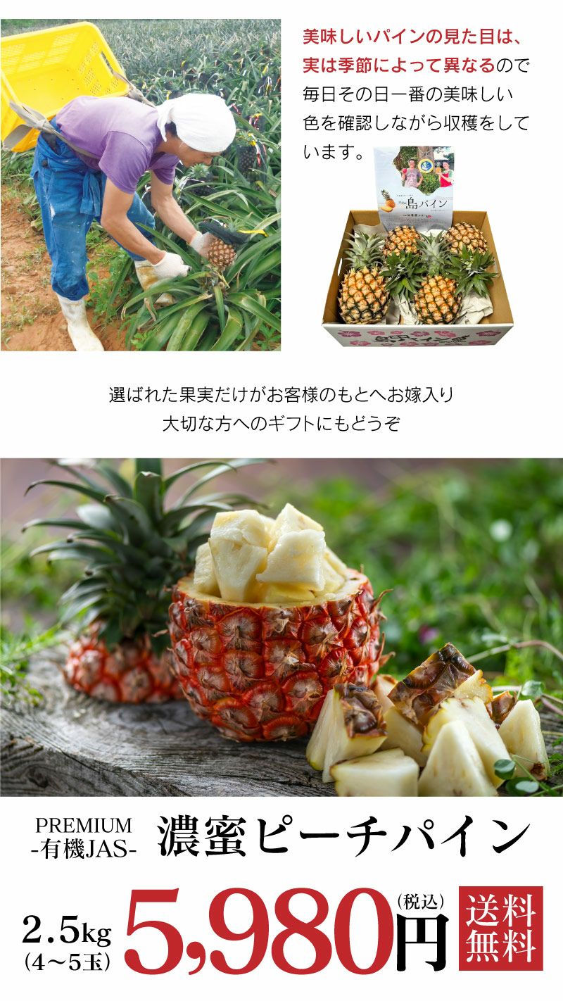 沖縄 西表島産 有機オーガニック認証 JAS プレミアム ピーチパイン 2.5