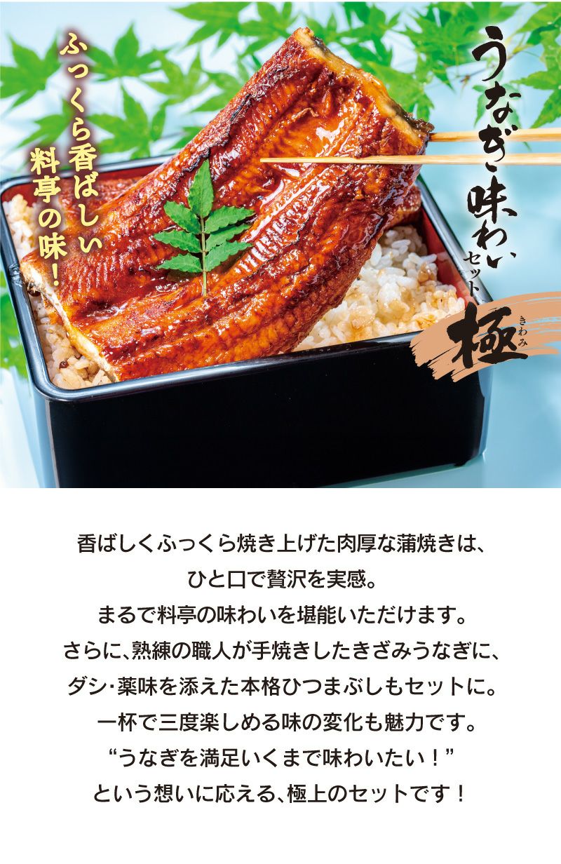 九州産 うなぎ味わいセット-極- ＜送料無料・クール代別途＞蒲焼き170g