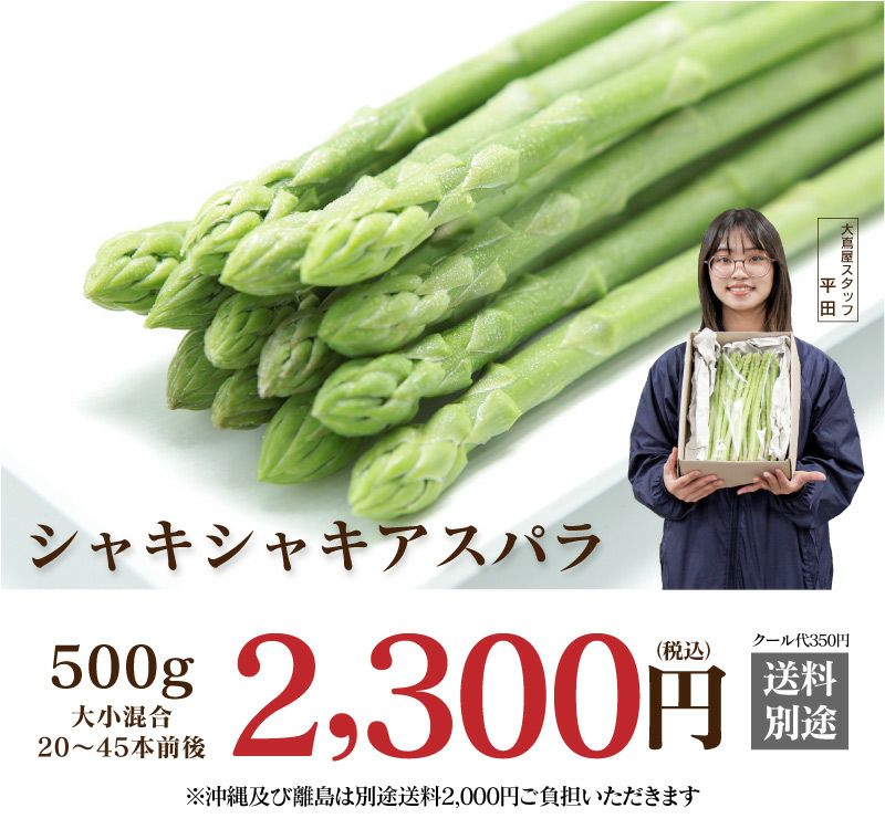 シャキシャキアスパラ 500g ＜送料別・冷蔵便・クール代別＞ 国産 長崎