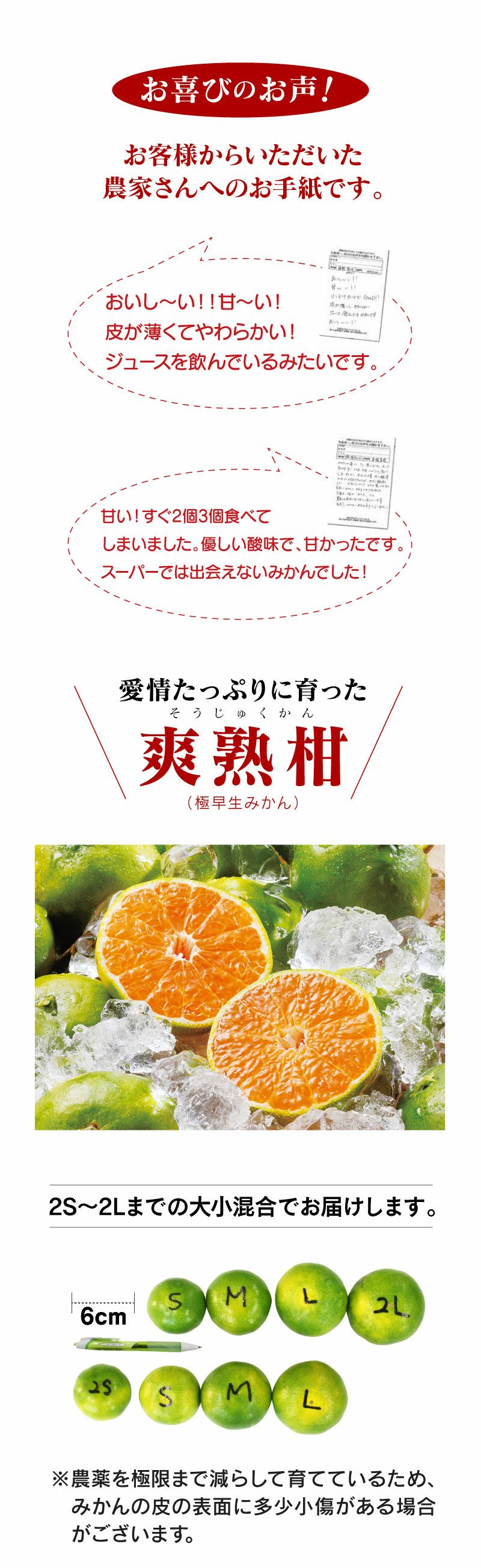 まとめ買いキャンペーン／爽熟柑 極早生温州みかん 4kg(40-50玉前後