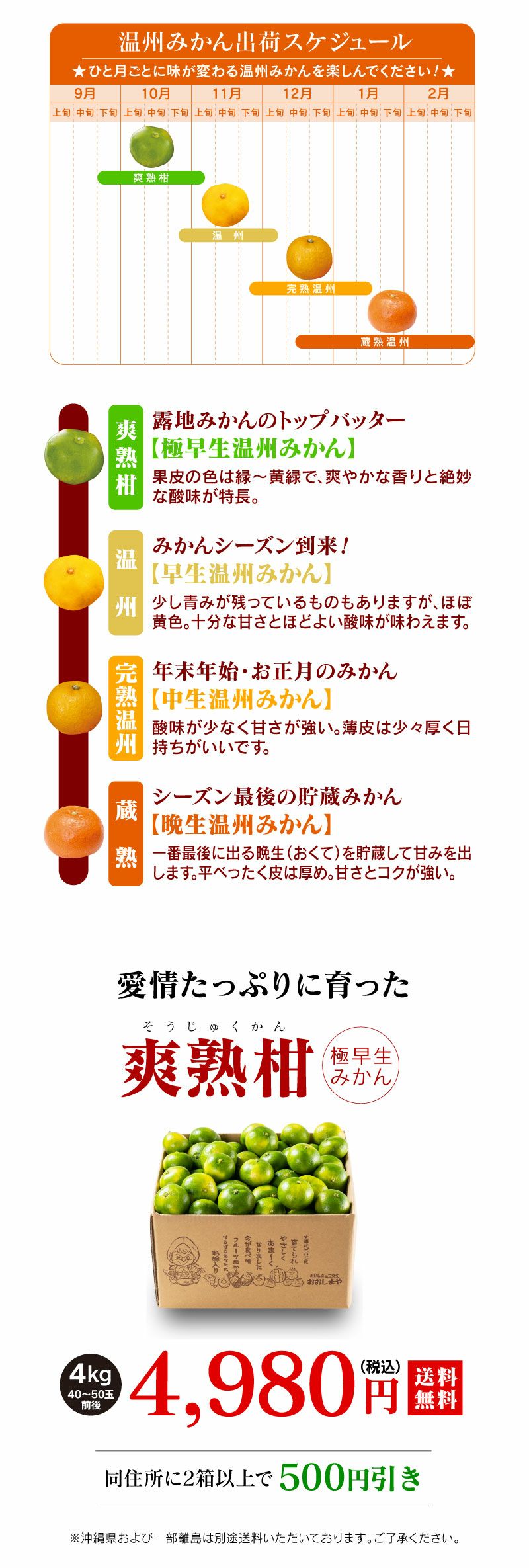 まとめ買いキャンペーン／爽熟柑 極早生温州みかん 4kg(40-50玉前後