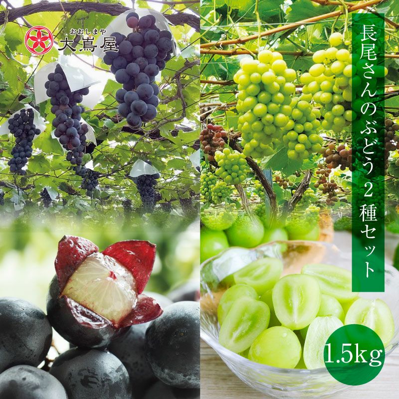 000000000991-01-l.jpg?t=