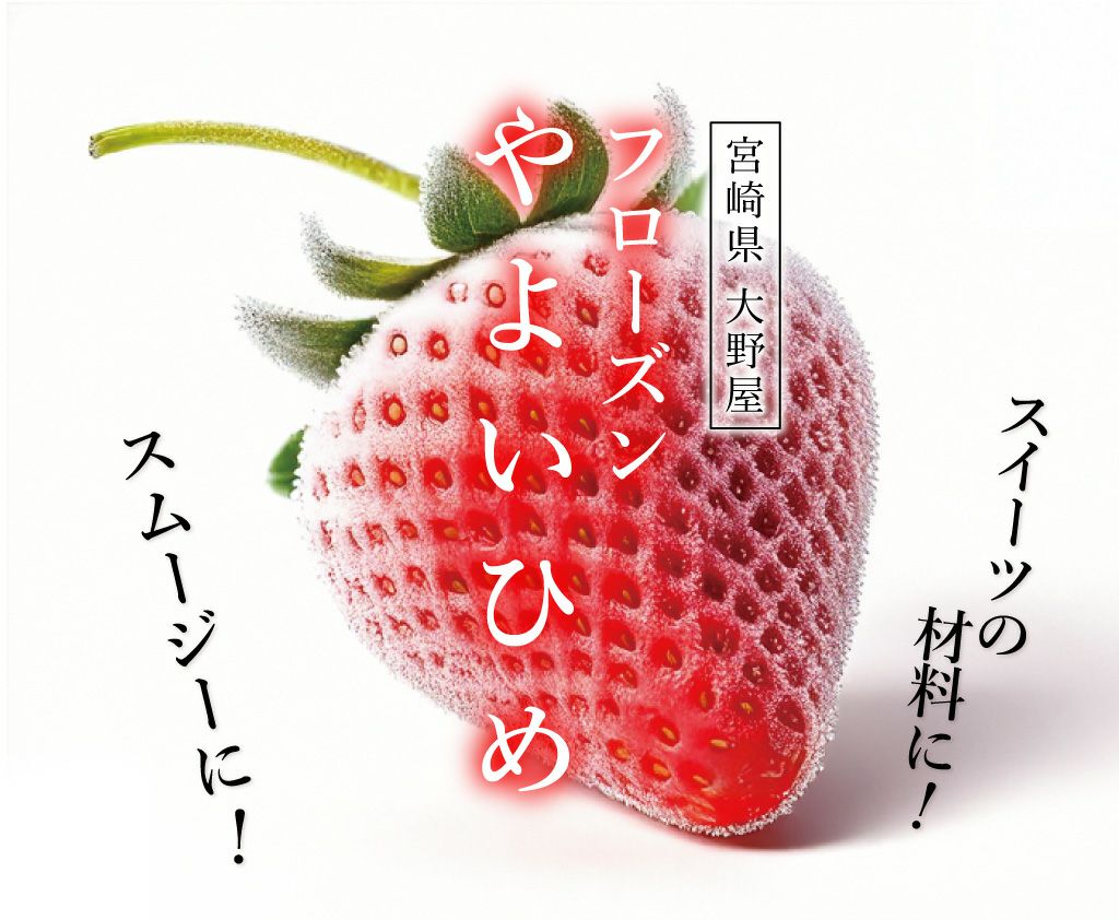 冷凍いちご やよいひめ 1.6kg （加工向け） 送料無料 クール代別