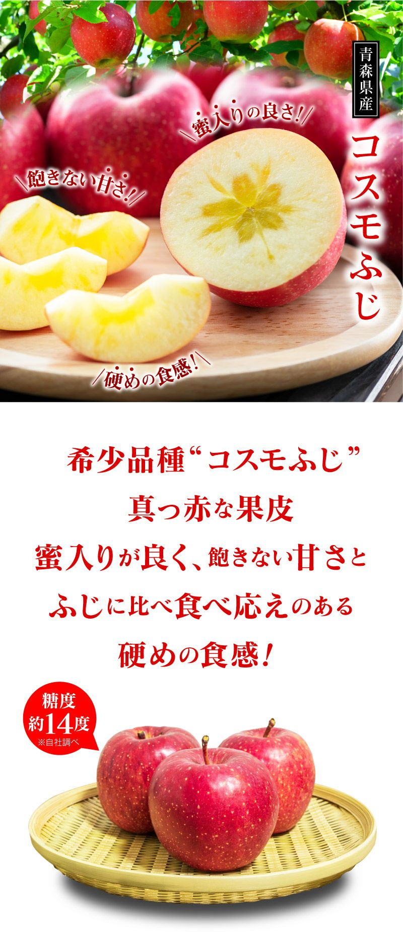 青森産 特選 蜜入葉とらずコスモふじりんご 4.5kg（12玉~18玉） ＜11月