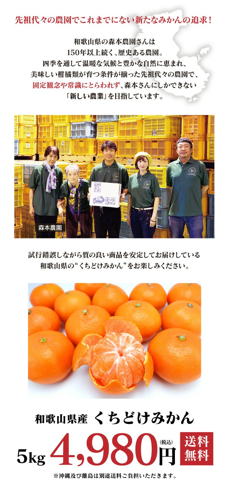 豊作SALE／和歌山県産 くちどけみかん 5kg 送料無料 ＜11月下旬から