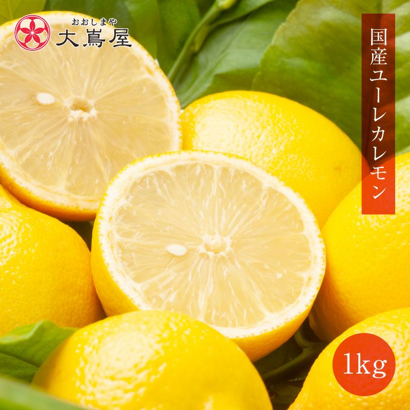 国産レモン | おおしま屋（大嶌屋）