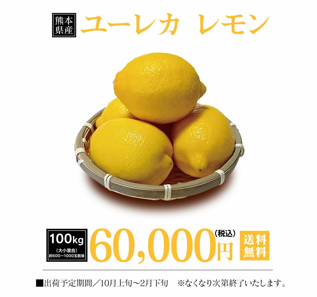 国産 レモン 熊本産 100kg 送料無料 ＜10月上旬より順次出荷