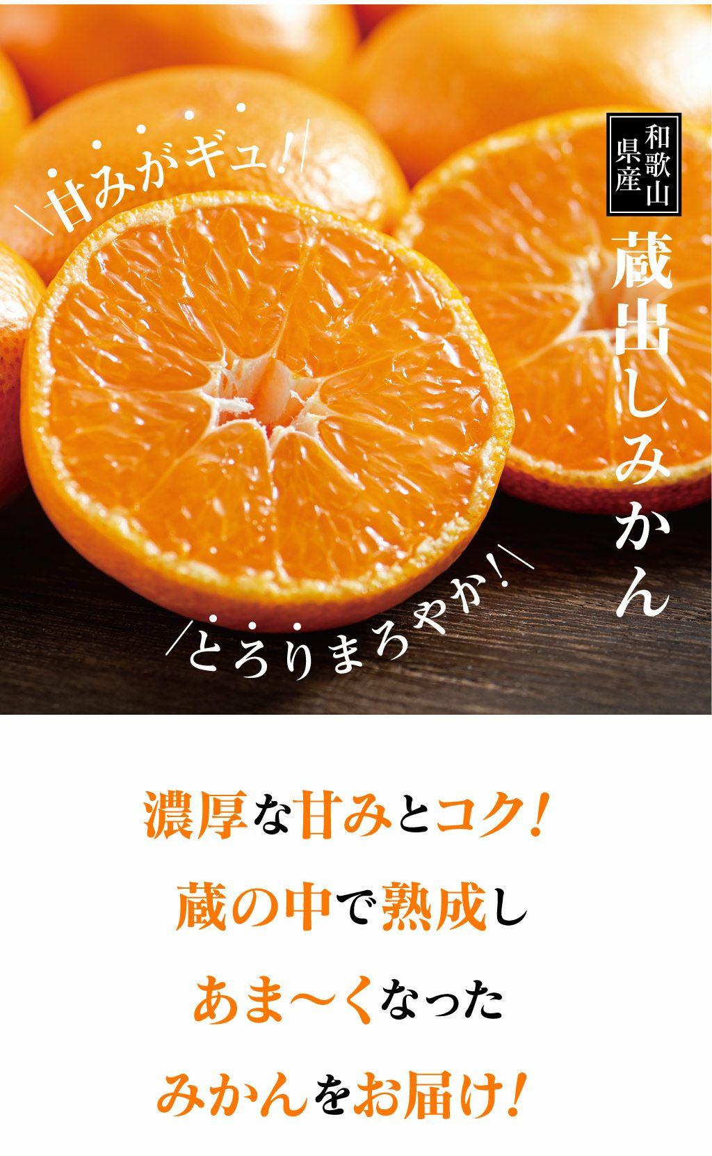 温州みかん 蔵出しみかん 5kg 送料無料 ＜1月上旬から順次お届け
