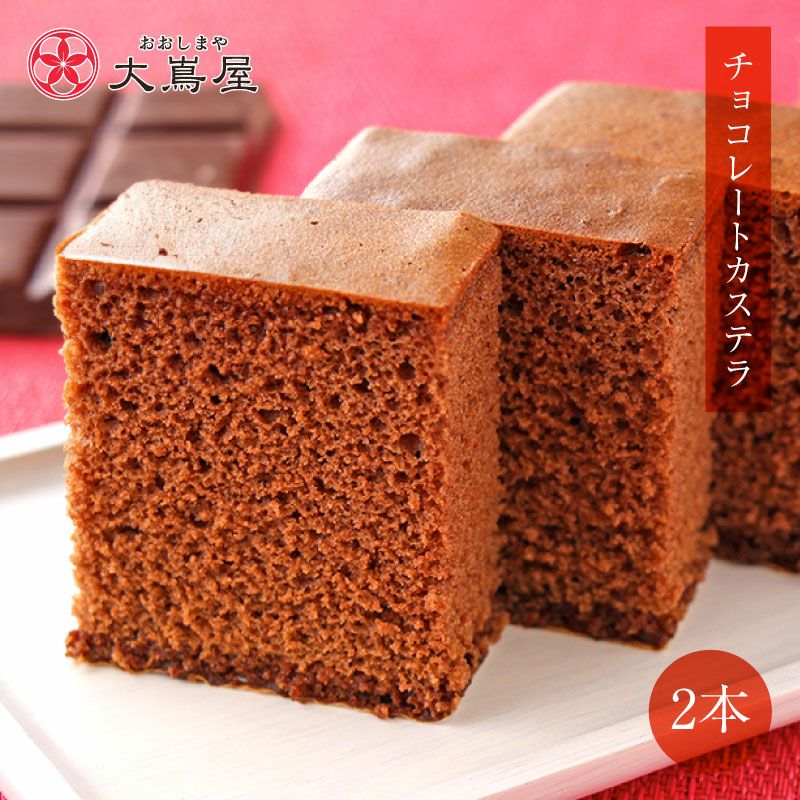 チョコレートカステラ かすてら 2箱 約230g 送料無料 ギフト 和菓子